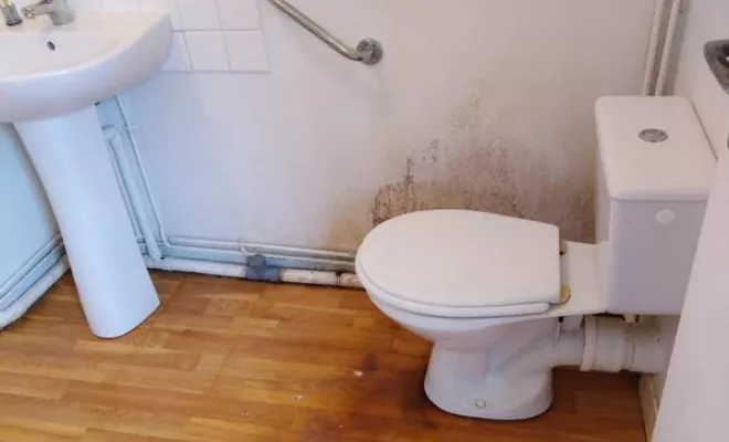 Nettoyage de maison et d'appartement, Rennes, Expert Clean Concept