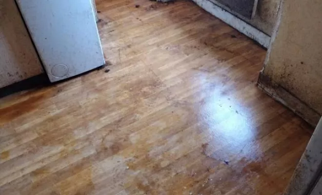 Nettoyage de maison et d'appartement, Rennes, Expert Clean Concept