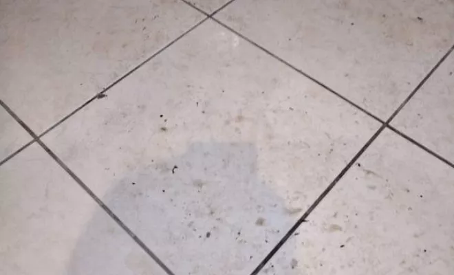 Nettoyage de maison et d'appartement, Rennes, Expert Clean Concept