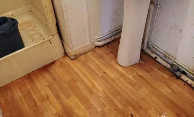 Nettoyage de maison et d'appartement, Rennes, Expert Clean Concept