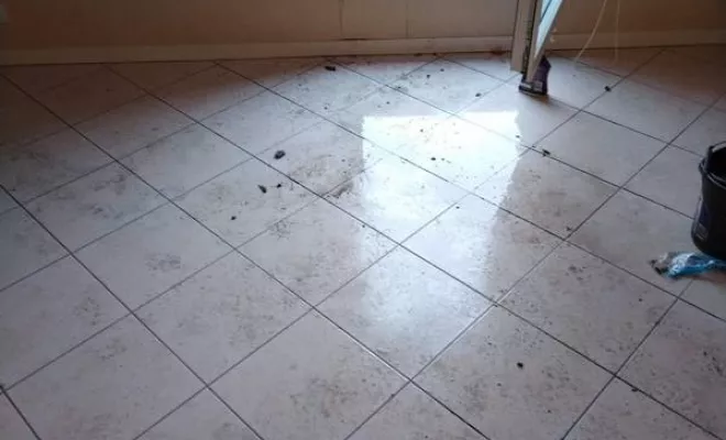 Nettoyage de maison et d'appartement, Rennes, Expert Clean Concept