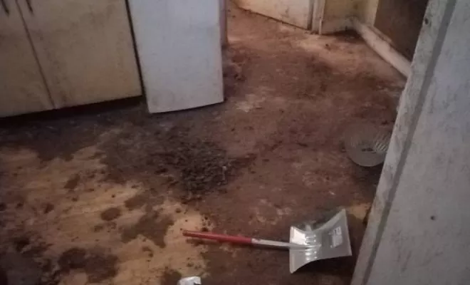 Nettoyage de maison et d'appartement, Rennes, Expert Clean Concept